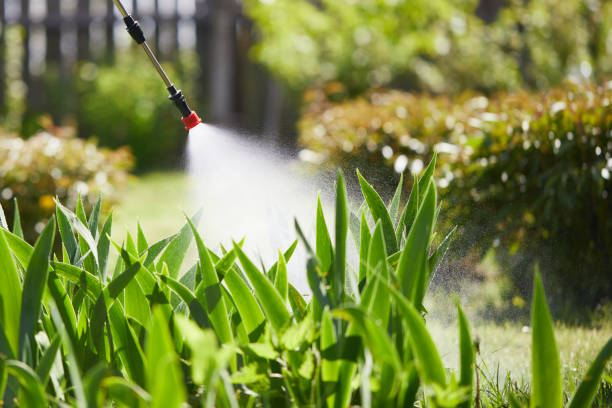 24/7 Emergency Mosquito Control experts in Golden Gate, FL