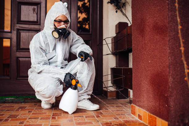 Reliable Mosquito Control contractor in Golden Gate, FL by Show Me Pest Control